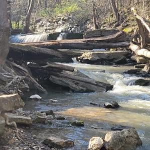 Meet your Posher, Marsha